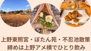 上野東照宮・ぼたん苑・不忍池散策　締めは上野アメ横でひとり飲み